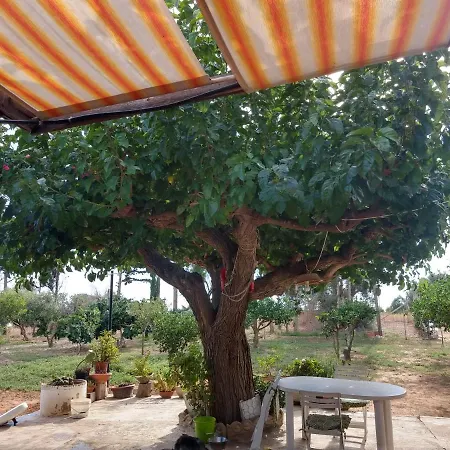 B&B Il Gazebo 스코글리티