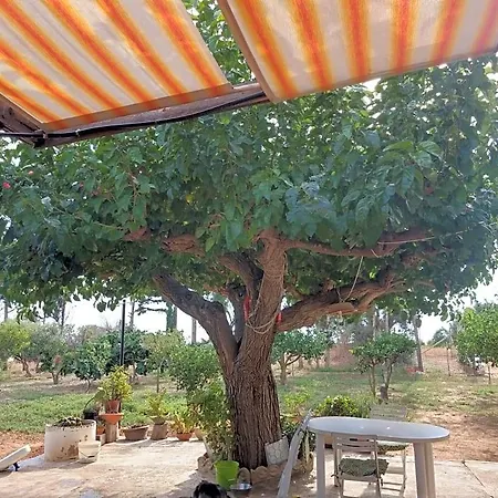 Il Gazebo